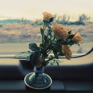 Meet your Posher, Evelyn